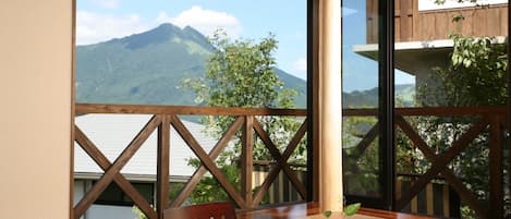 A wooden dining table with chairs, a potted plant, and a view of a mountain through large windows.