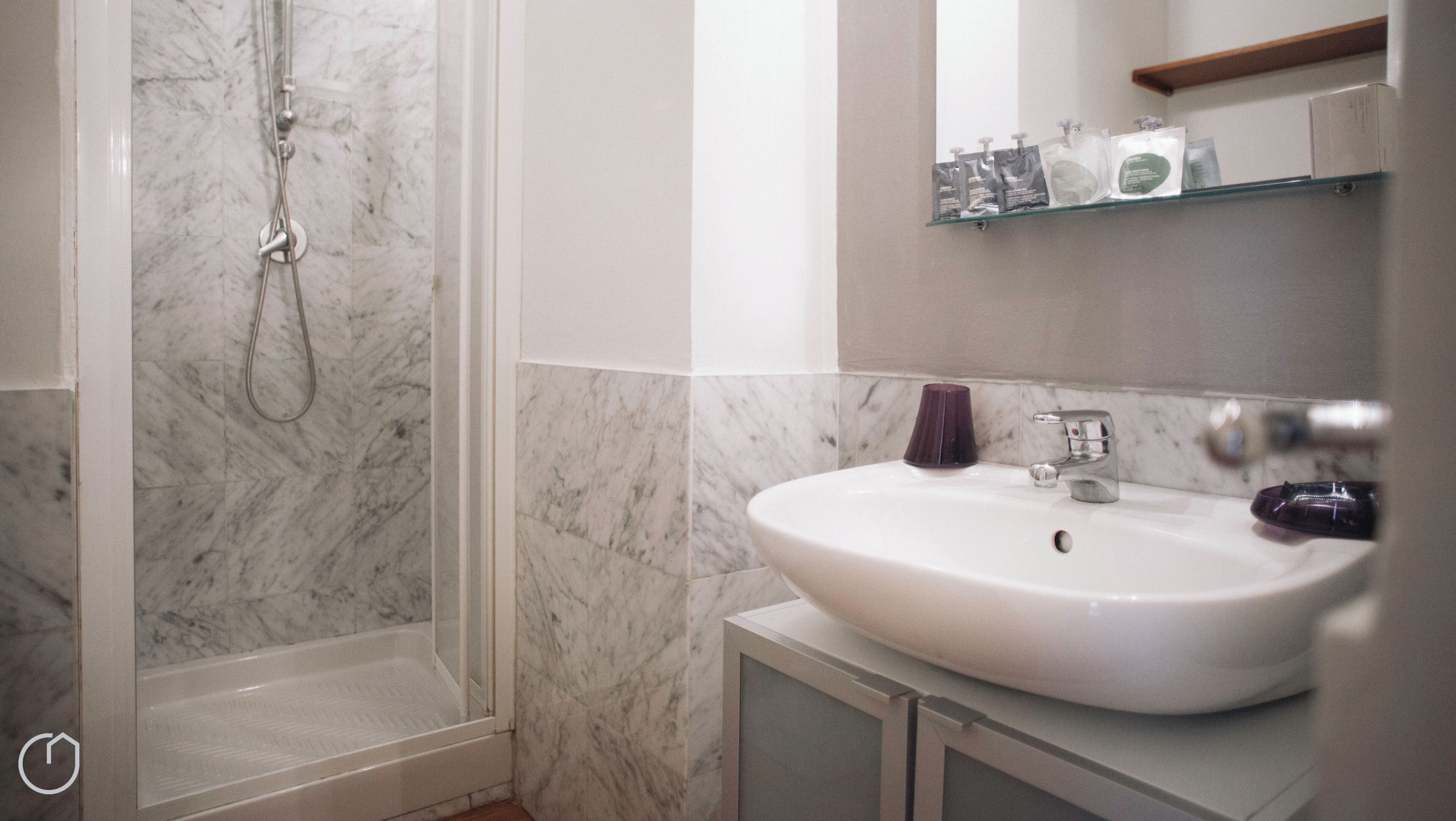 Een badkamer met een douche, een wastafel en een spiegel.