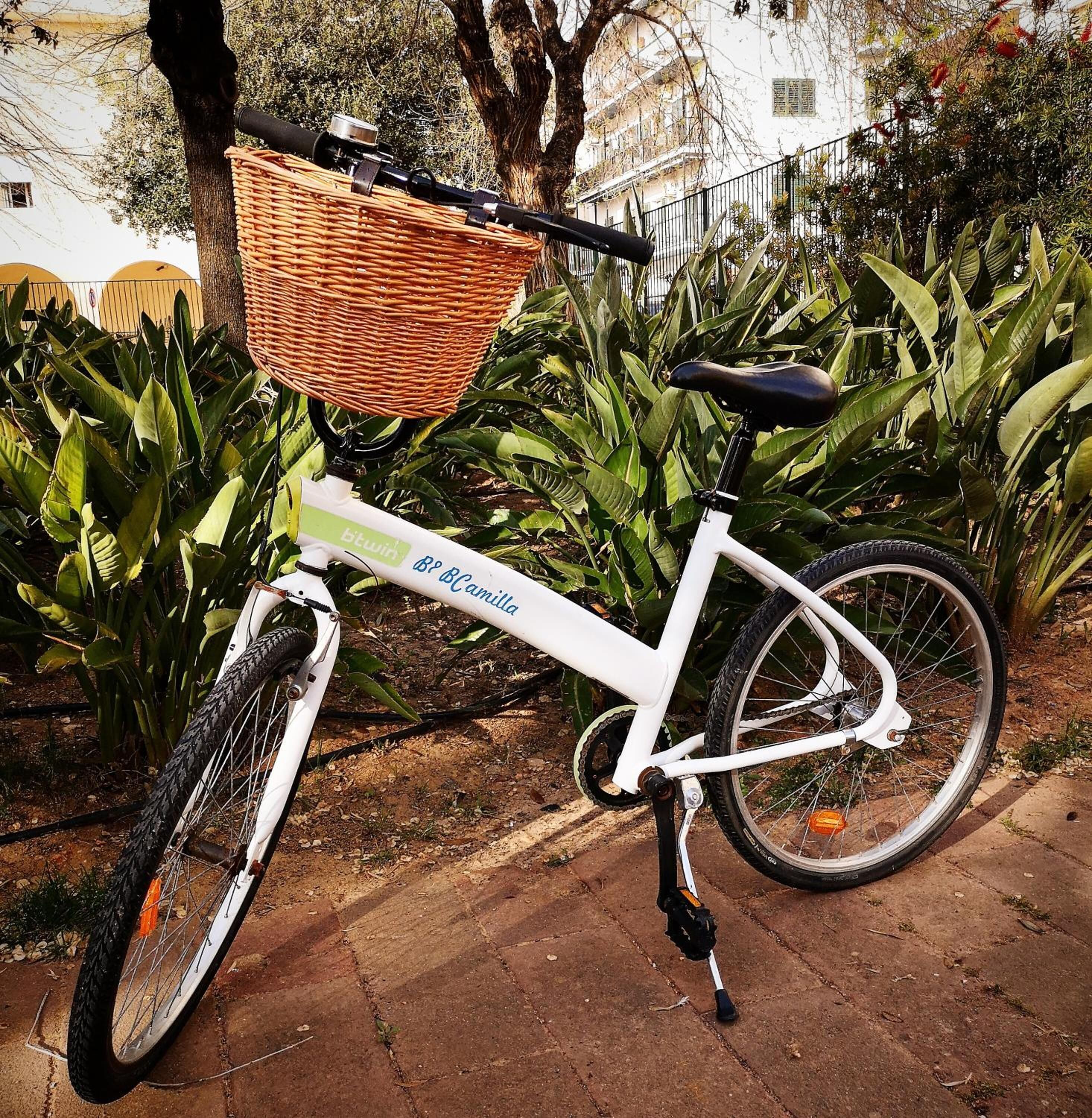 Photo - Guest House Camilla