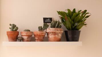 Una estantería con diversas plantas en macetas, entre ellas cactus y una planta verde grande en una maceta negra.