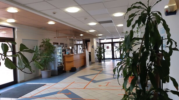 Uklassifisert bilde, 1 av 31, knapp