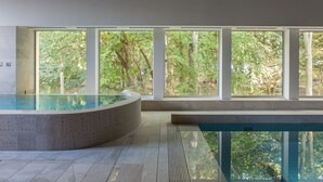 Une piscine intérieure moderne dotée de grandes fenêtres donnant sur un espace boisé.