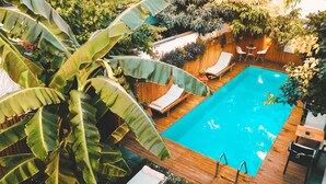 A rectangular swimming pool with wooden deck and lounge chairs, surrounded by lush greenery and a wooden fence. - The Suite Apart Hotel Kaleiçi (Antalya)