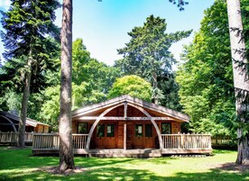 Woodland Lodge | Terrace/patio