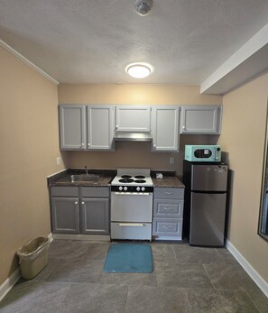 Suite | Private kitchen | Fridge, microwave