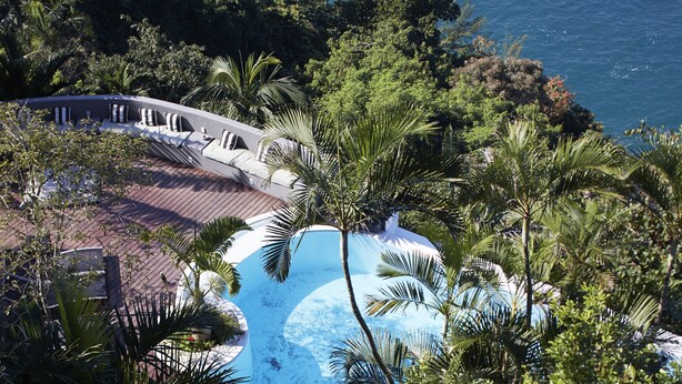 Una piscina rodeada de palmeras y una terraza de madera con barandilla curva.