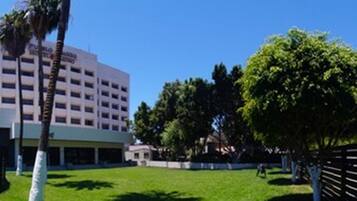 A multi-story building with a flat roof and a large tree in the foreground.