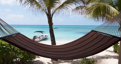 Bohio Dive Resort