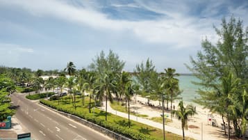 A coastal road with palm trees and a beach in the background.