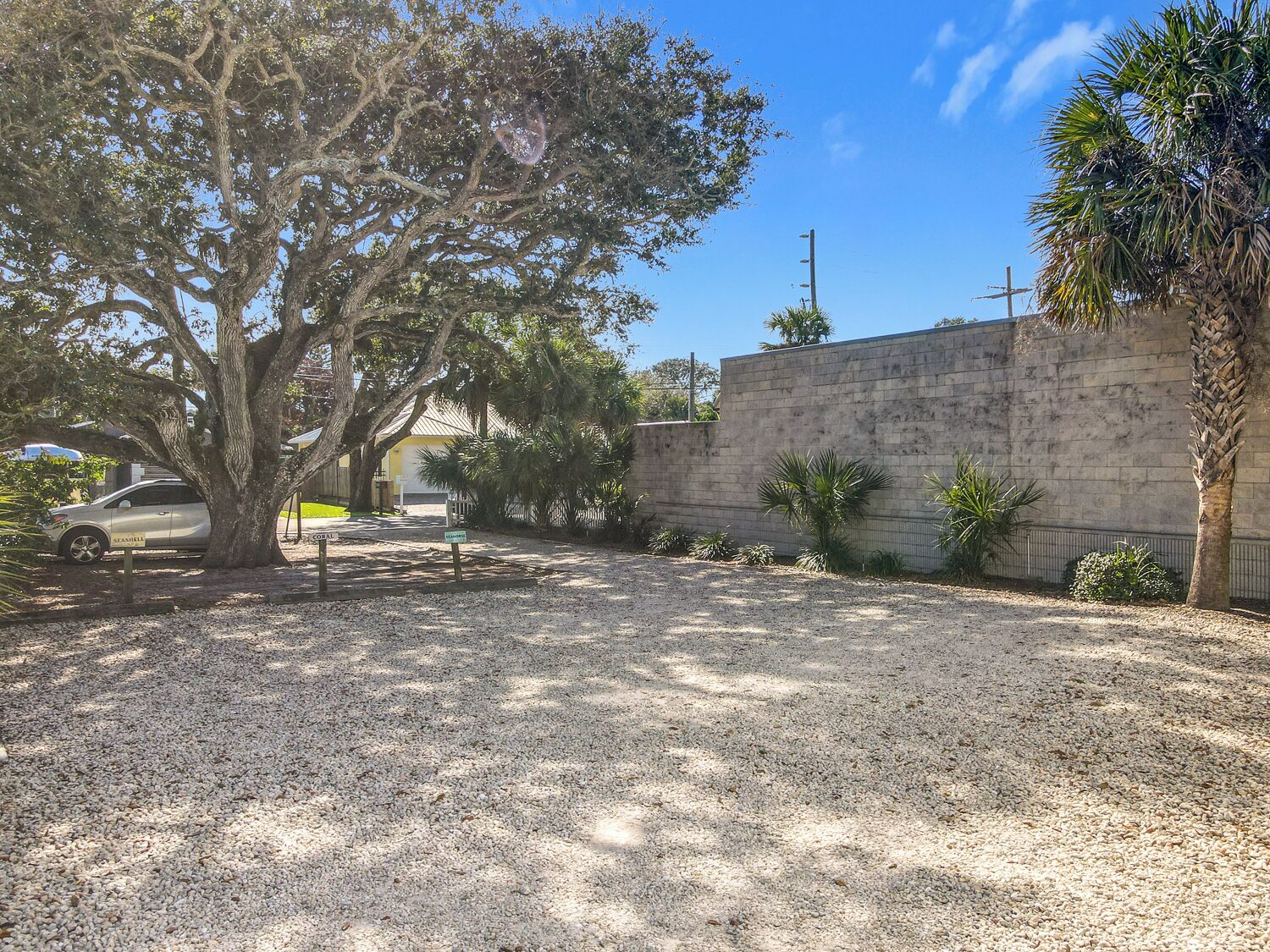 A gravel driveway leading to a building with a stone wall and a palm tree.