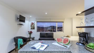 Economy-Studio, 1 Schlafzimmer, barrierefrei, Stadtblick | Eigene Kochnische | Kühlschrank, Mikrowelle, Herdplatte, Wasserkocher mit Kaffee-/Teezubehör