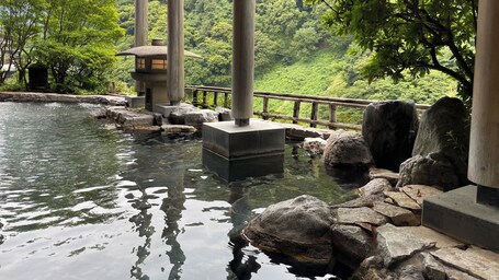 Aguas termales