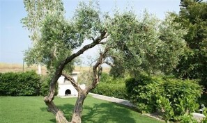 Garden - Ifigenia Apartments (Hersonissos)