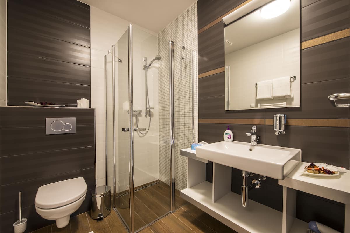 shower, free toiletries, hair dryer, towels