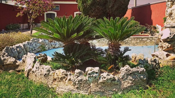 A pool surrounded by rocks and plants, with a red building in the background. - Airport Rooms Bari  (Bari)