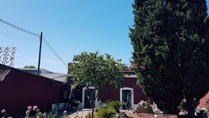 A building with a red facade, a large tree in front, and a clear blue sky. - Airport Rooms Bari  (Bari)
