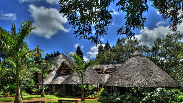 A resort with thatched-roof huts, lush greenery, and a clear blue sky.