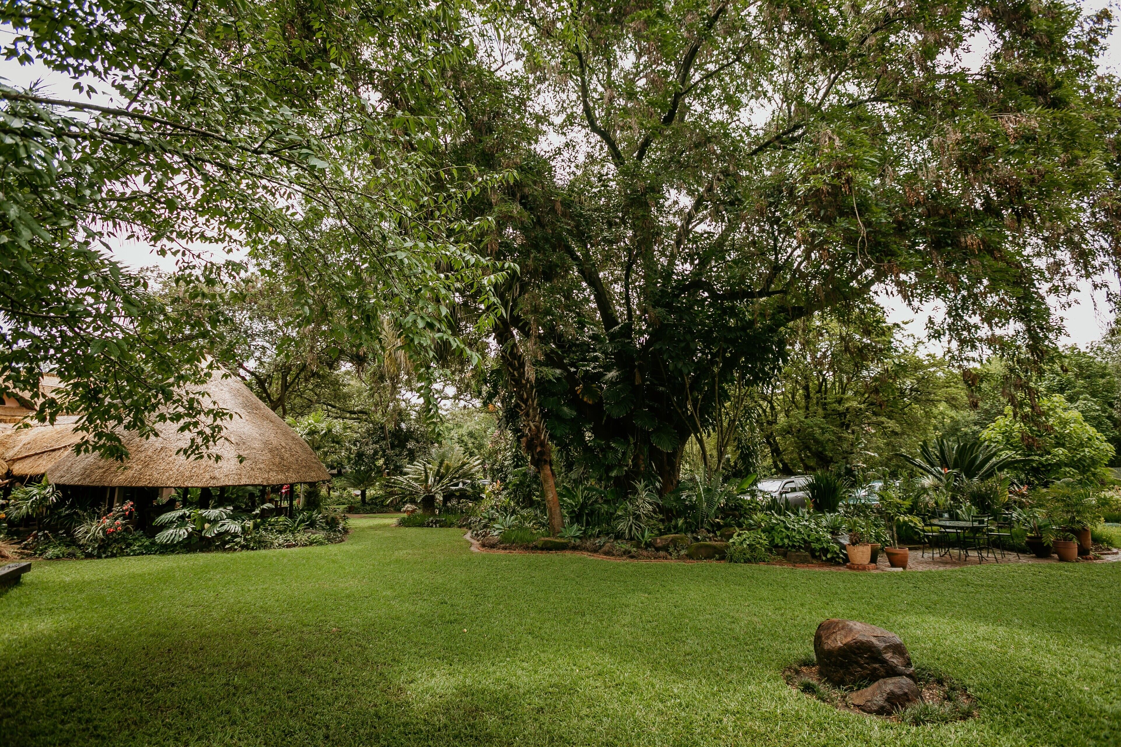 A lush garden with a thatched-roof structure, large trees, and a well-maintained lawn.