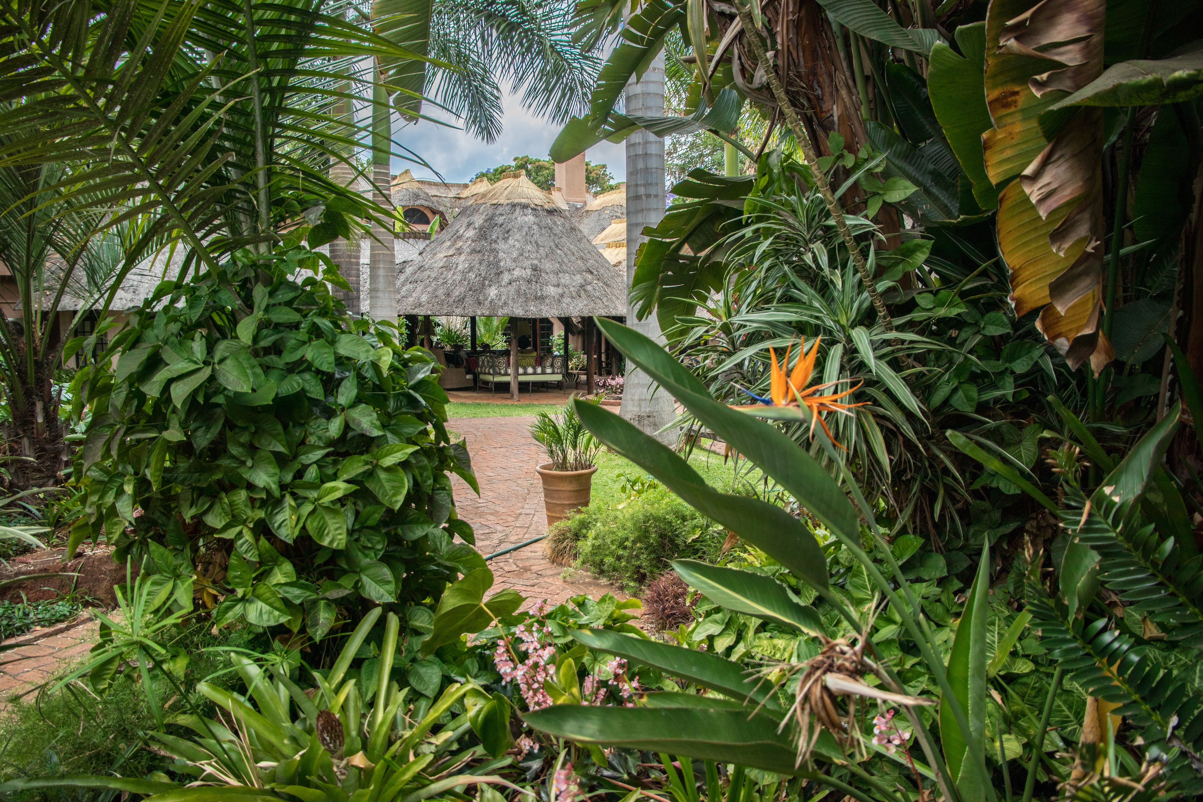 A lush garden with a thatched-roof structure, surrounded by dense tropical foliage.