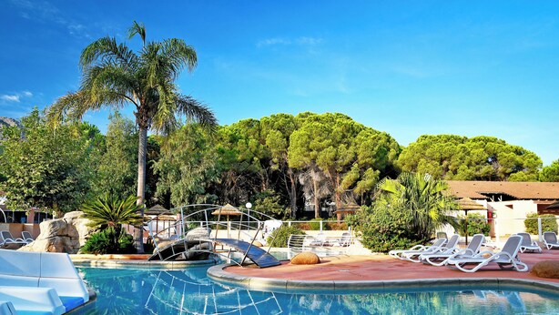 A pool area with lounge chairs, a palm tree, and a clear blue sky. - Camping Les Castors (Calvi)