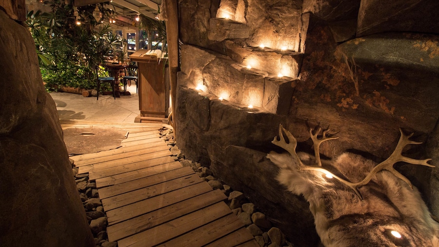 Mary-Ann's Polarrigg