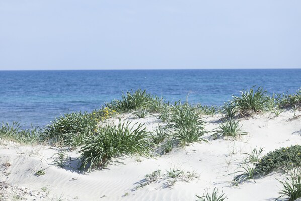 A sandy beach with sparse vegetation and a clear view of the ocean.