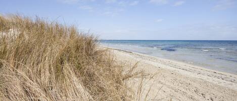海灘、白沙、躺椅、太陽傘