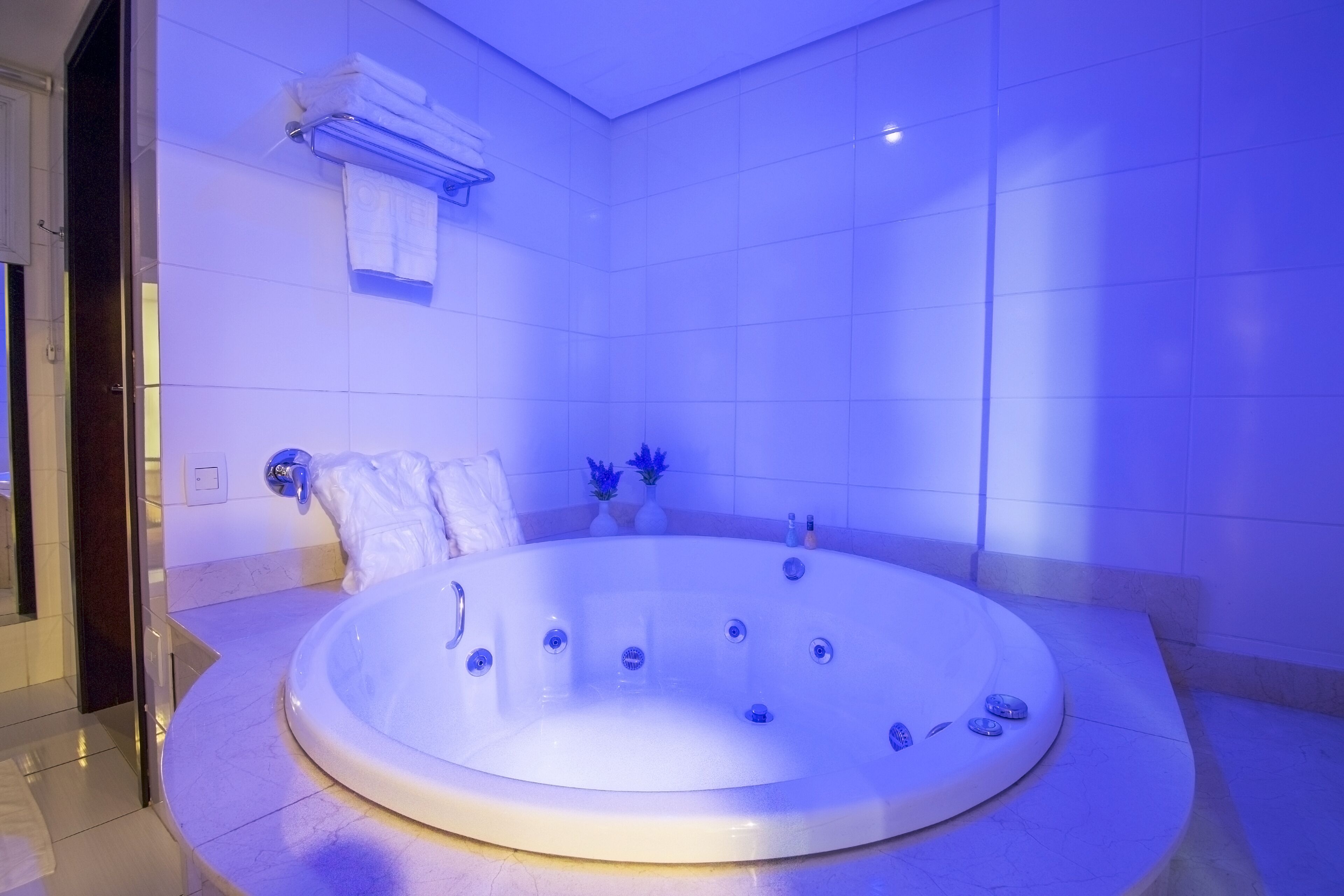 premium suite, 1 king bed | bathroom | free toiletries, hair dryer, towels, soap