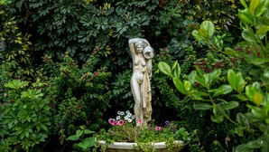 Una estatua en un jardín, rodeada de follaje exuberante y plantas con flores.