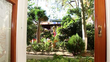Jardim