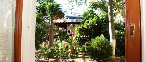 A view through a window with a wooden frame, featuring a garden with various plants and a statue.