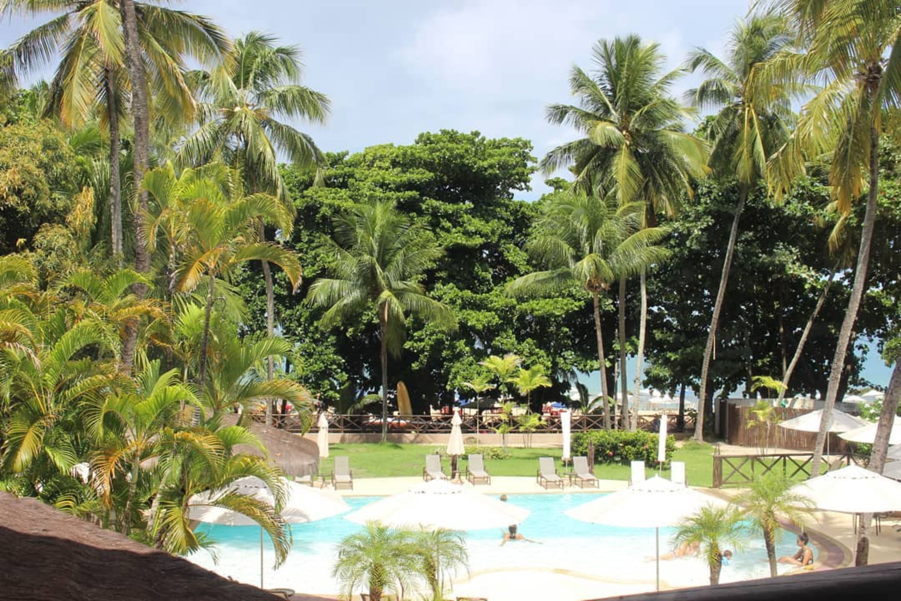 A pool area with lounge chairs and umbrellas, surrounded by palm trees.