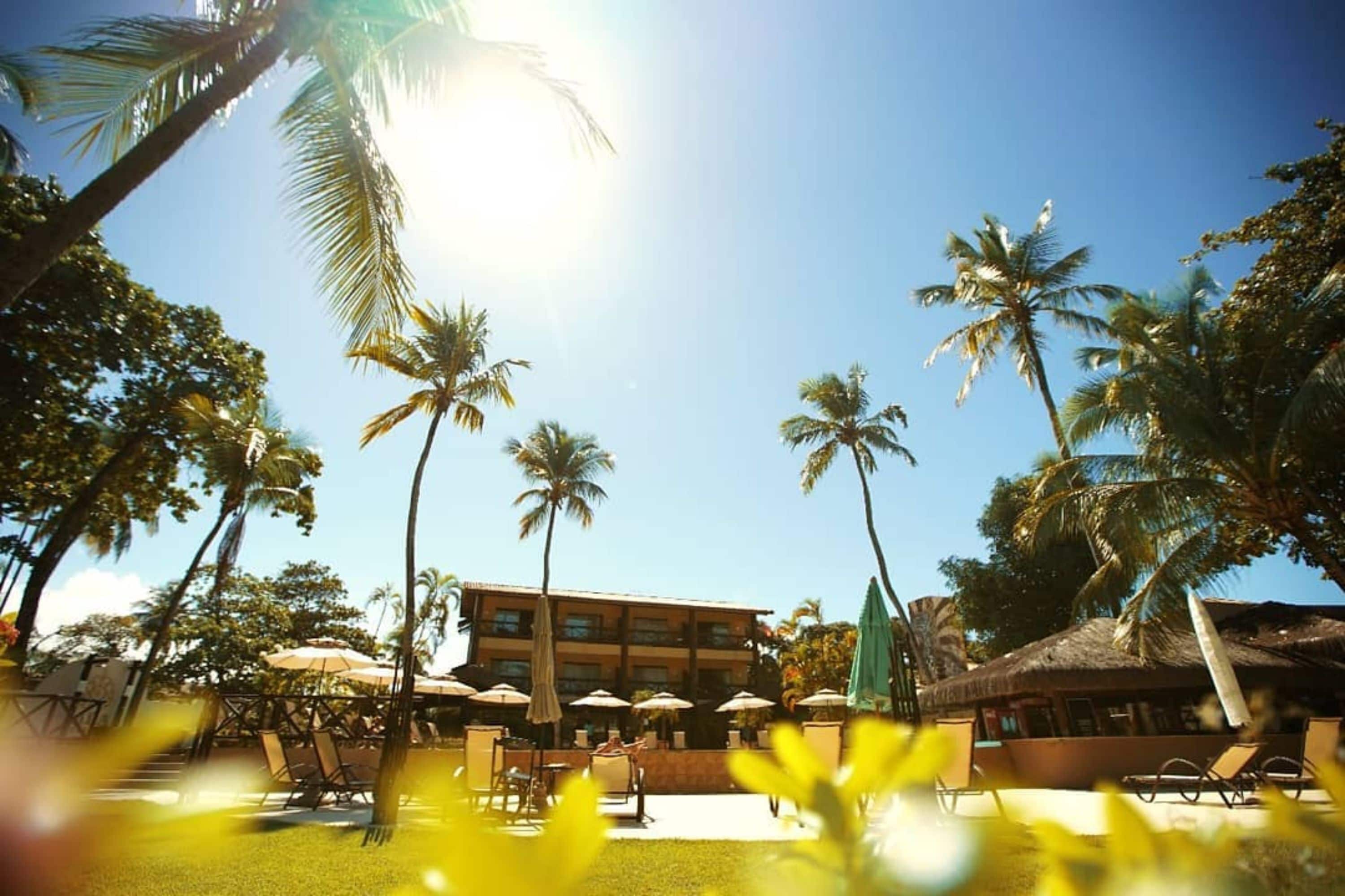 Detalle del exterior