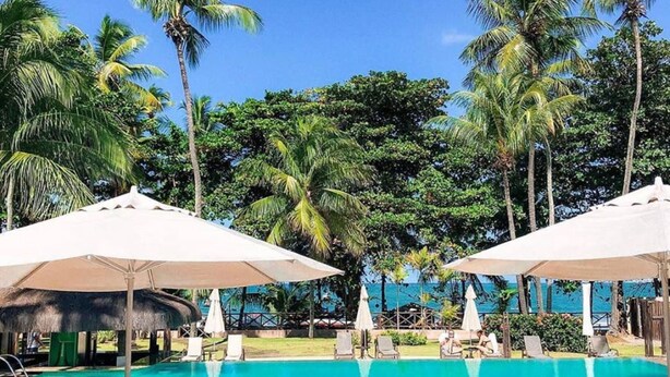 Un espace piscine agrémenté de chaises longues et de parasols, entouré de palmiers et surplombé d’un ciel dégagé.