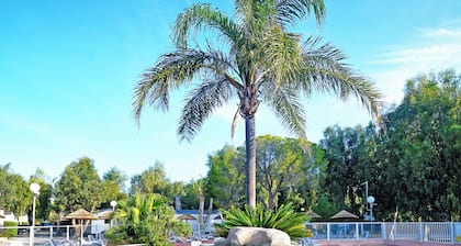 Camping International