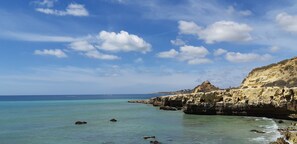 海  灘