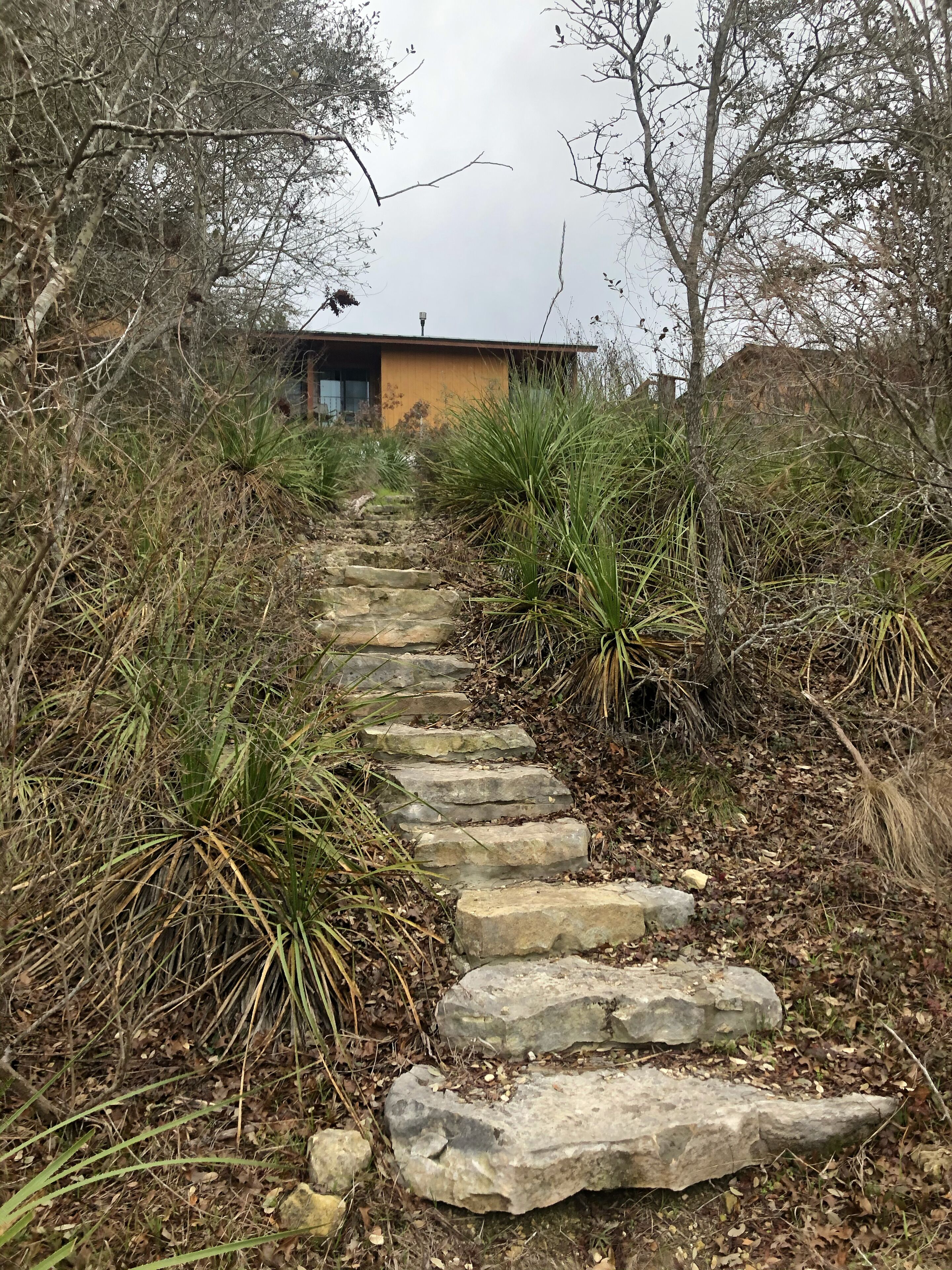 A stone staircase leading to a modern building surrounded by dense vegetation.