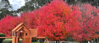 Brookfield Guesthouse