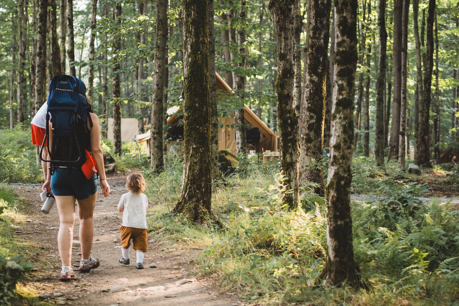 A forest path with a wooden structure in the background.