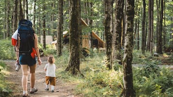 A forest path with a wooden structure in the background.