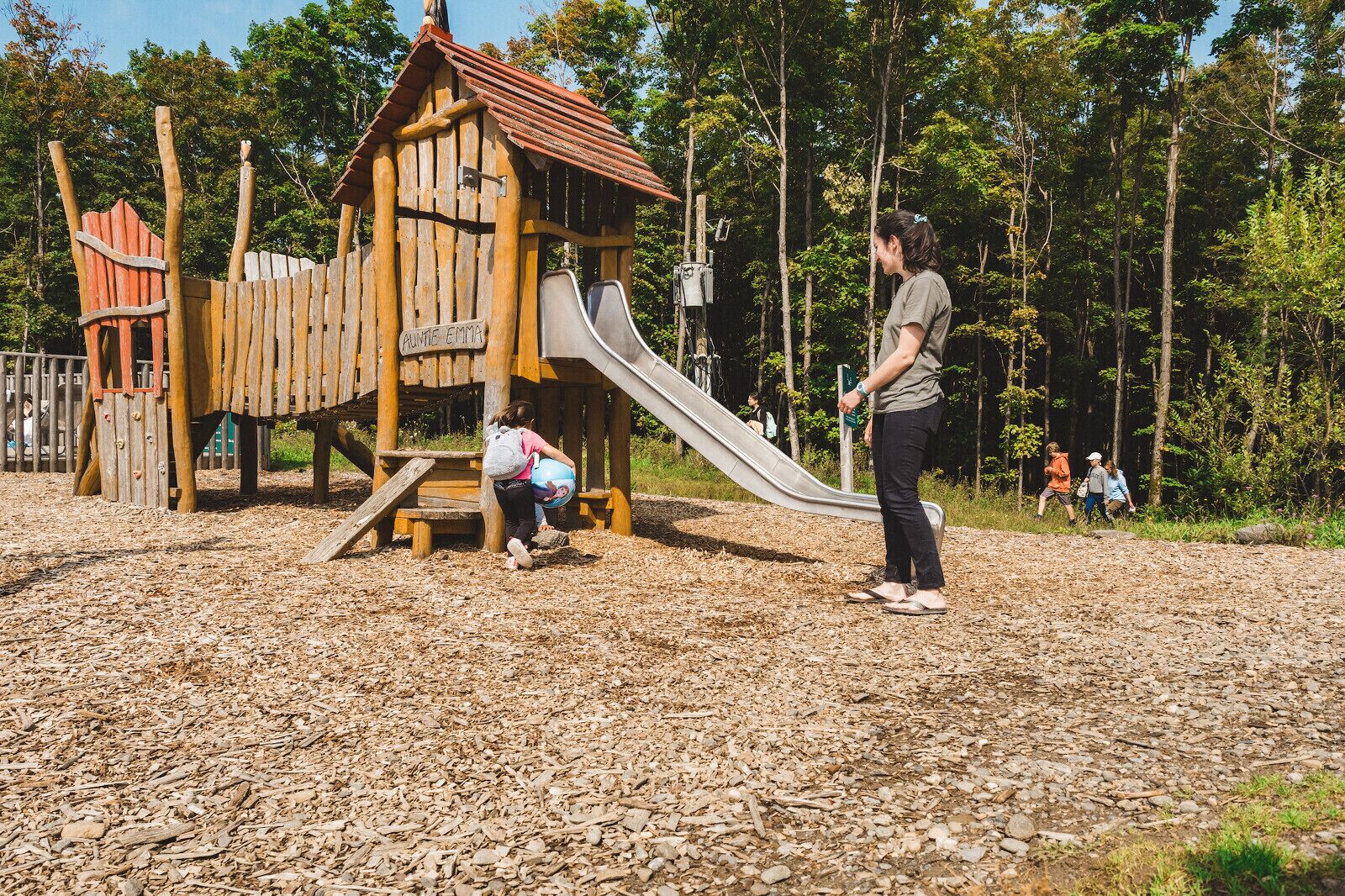 A wooden play structure with a slide and a small house, surrounded by trees.