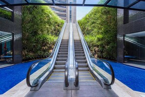Una escalera mecánica interior con barandas de vidrio, rodeada de vegetación y un piso azul, que conduce a un nivel superior.