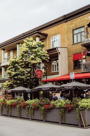 Terrace/patio. Petit Hôtel Café Krieghoff