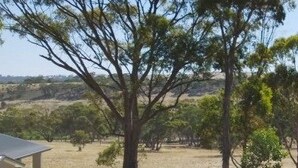 Un bâtiment moderne doté d’un espace extérieur abrité, entouré d’arbres et situé dans un paysage vallonné.