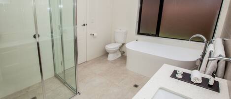 A modern bathroom with a glass shower enclosure, a toilet, and a bathtub.
