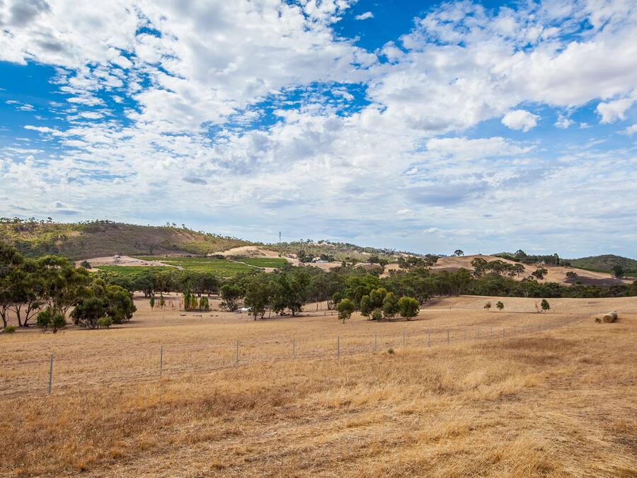Un paysage rural avec un champ aride, des arbres dispersés et des collines douces sous un ciel partiellement nuageux.
