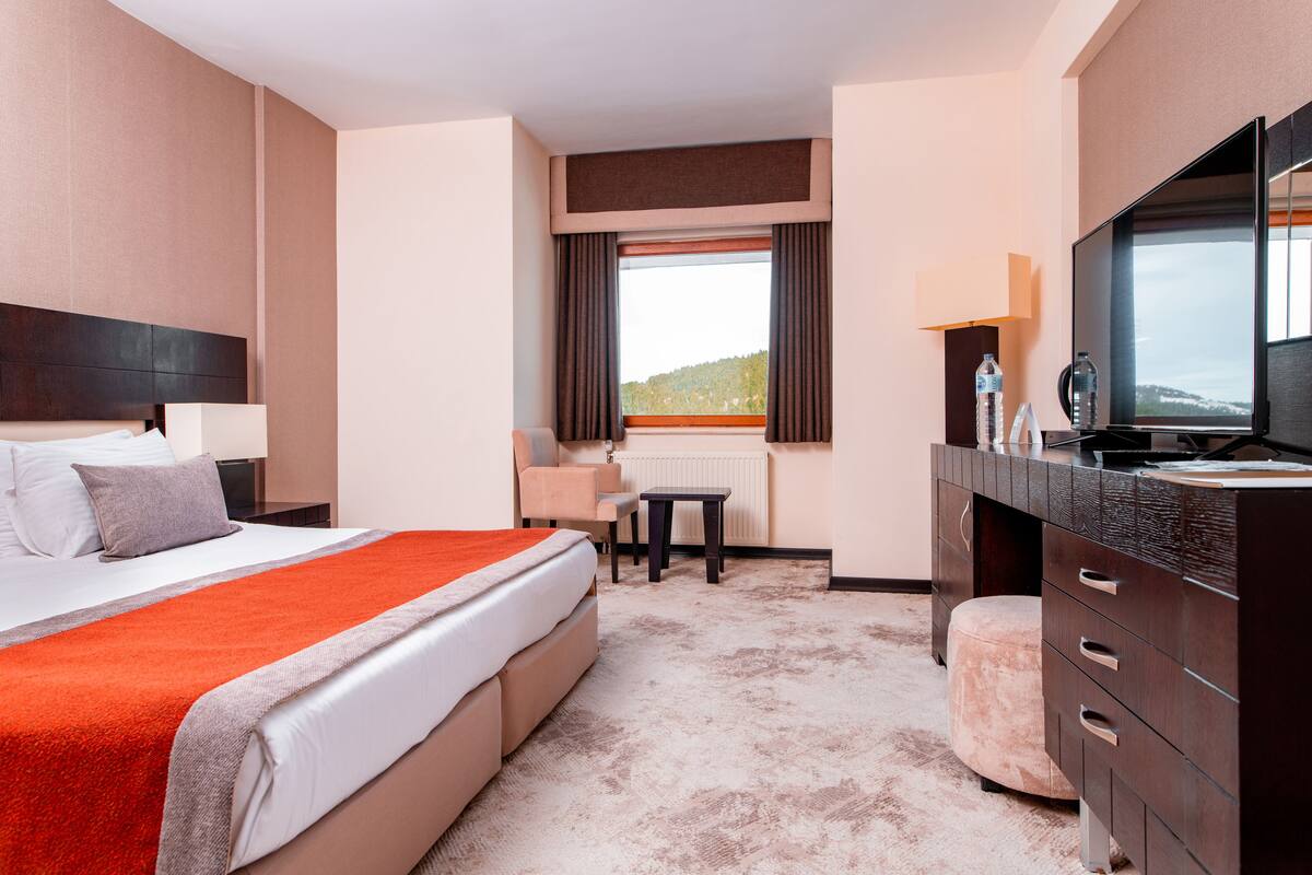 A hotel room with a bed, a desk, a chair, a TV, and a view of the outdoors.