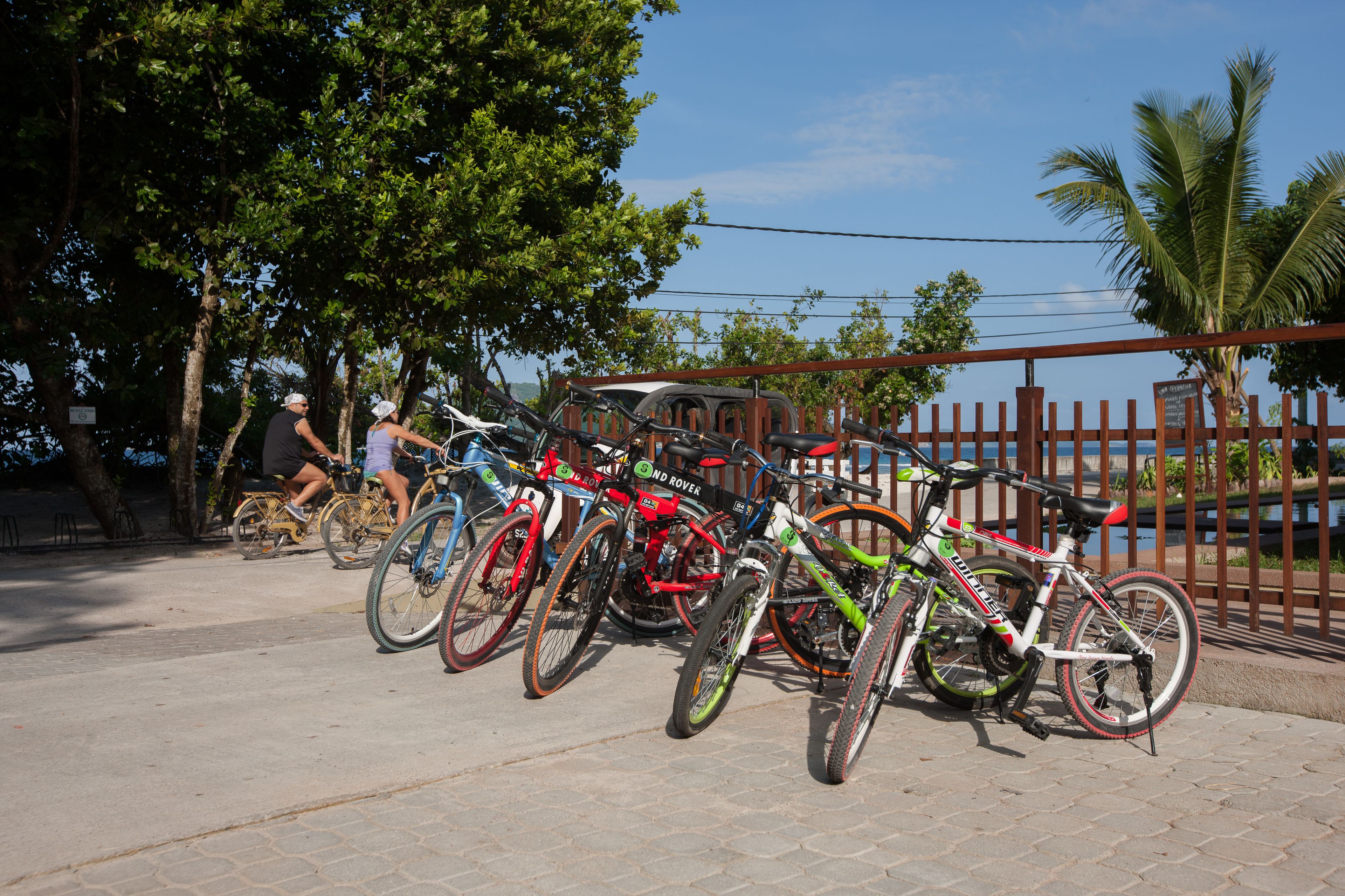 A row of bicycles parked in an outdoor area with trees and a fence in the background.