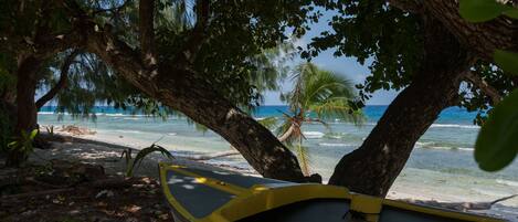 Un bote bajo un árbol en la playa, con agua cristalina y una palmera al fondo.