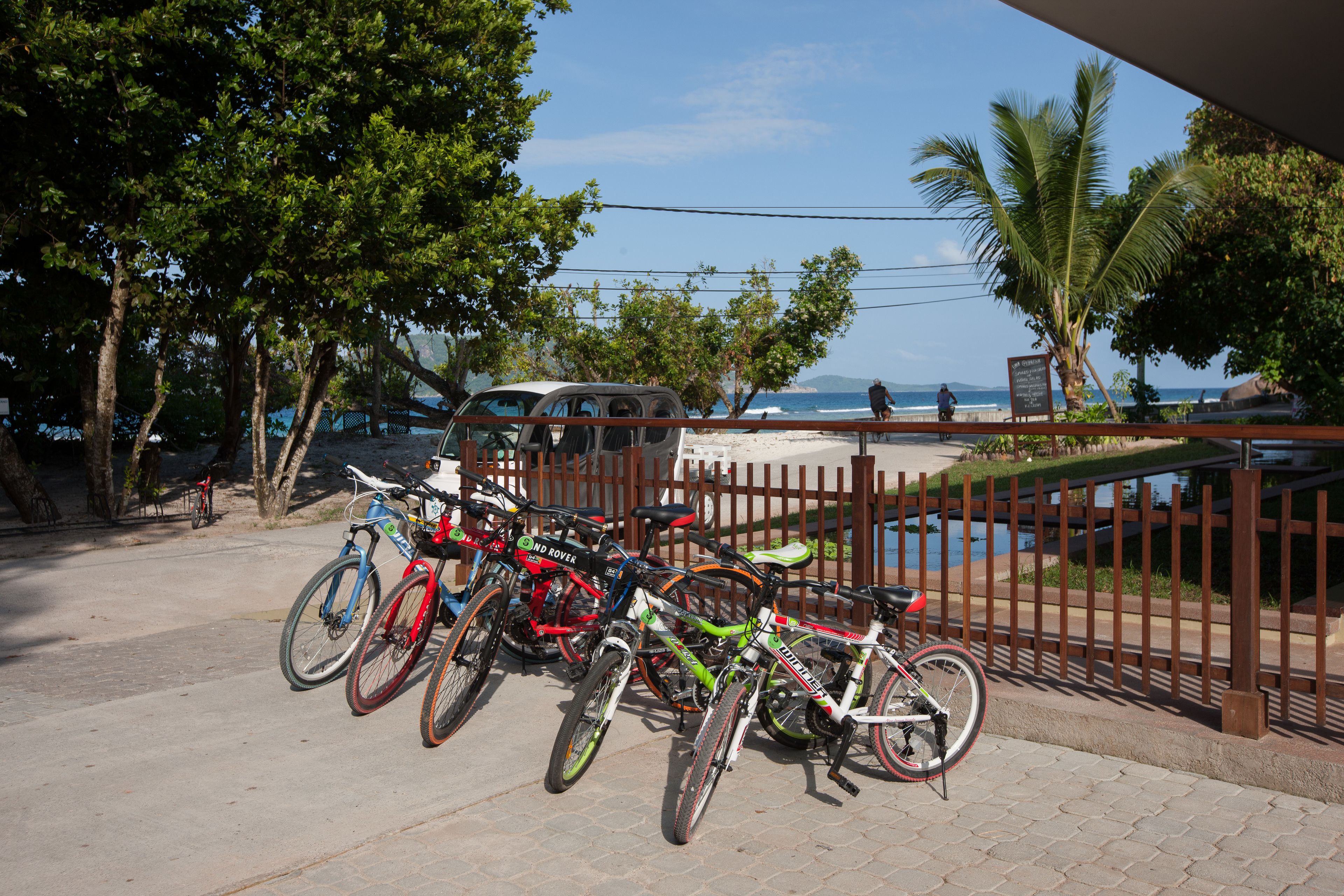 Bicycles parked near a beach with a fence and palm trees.